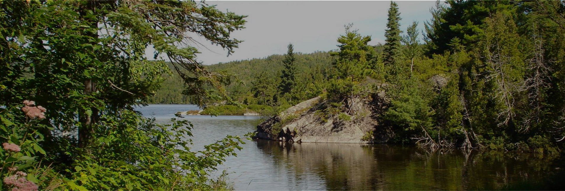 Entête de page Entête de page