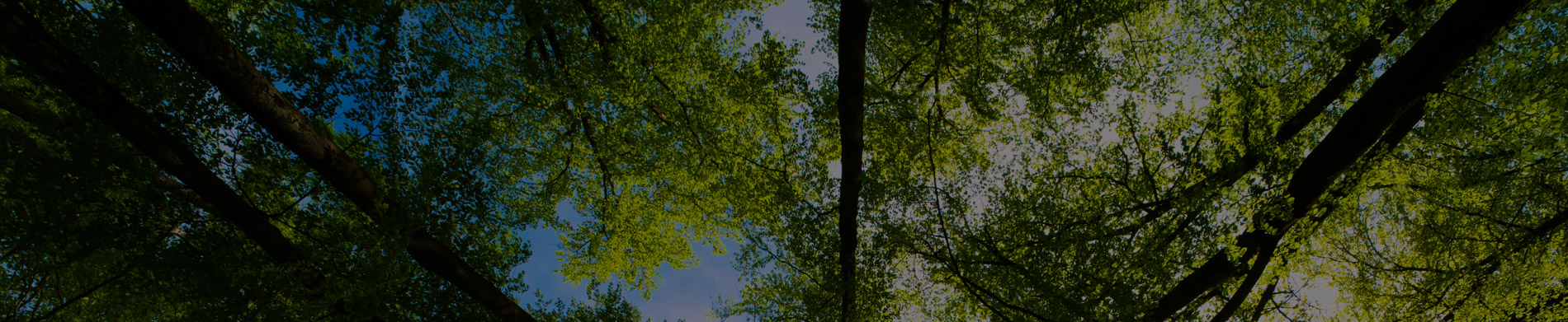 Copie - Entête de page Copie - Entête de page