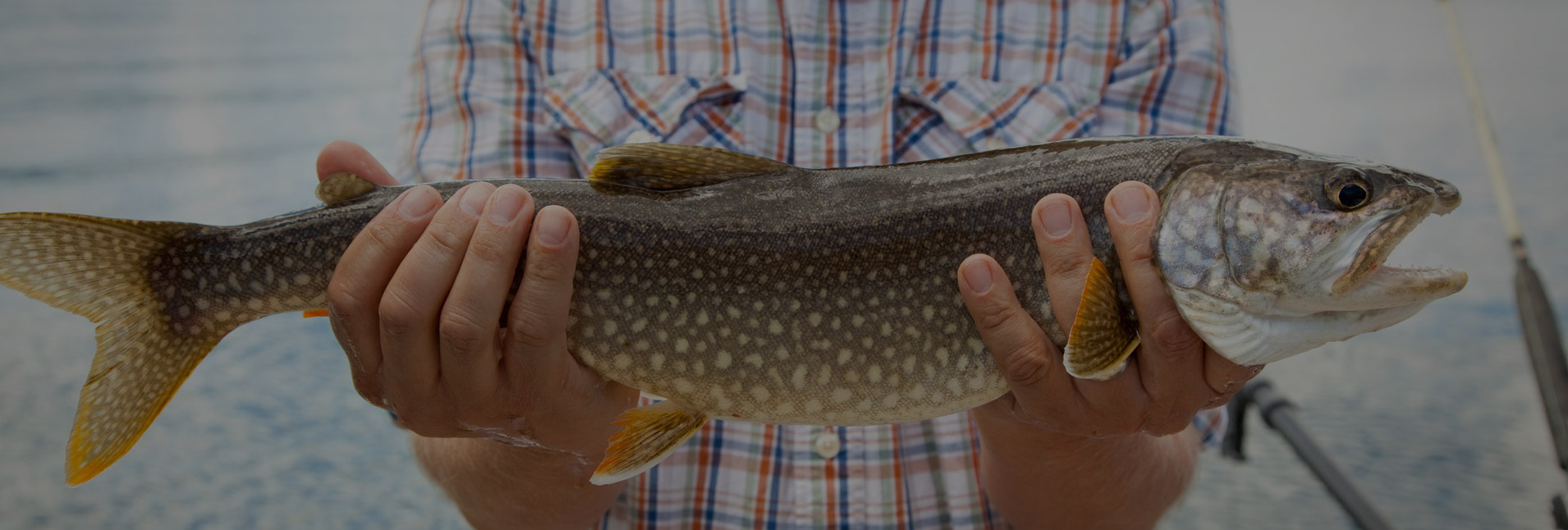 Copy - Copie - Entête de page Copy - Copie - Entête de page