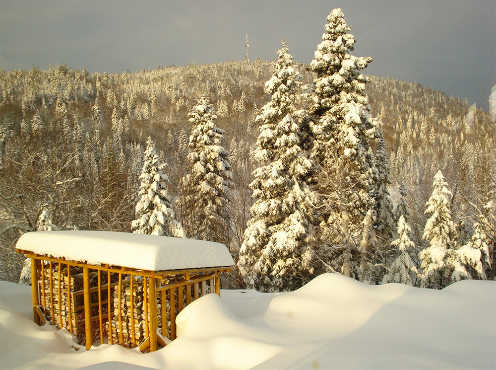 Club Tadoussac / Auberge la Tanière Club Tadoussac / Auberge la Tanière