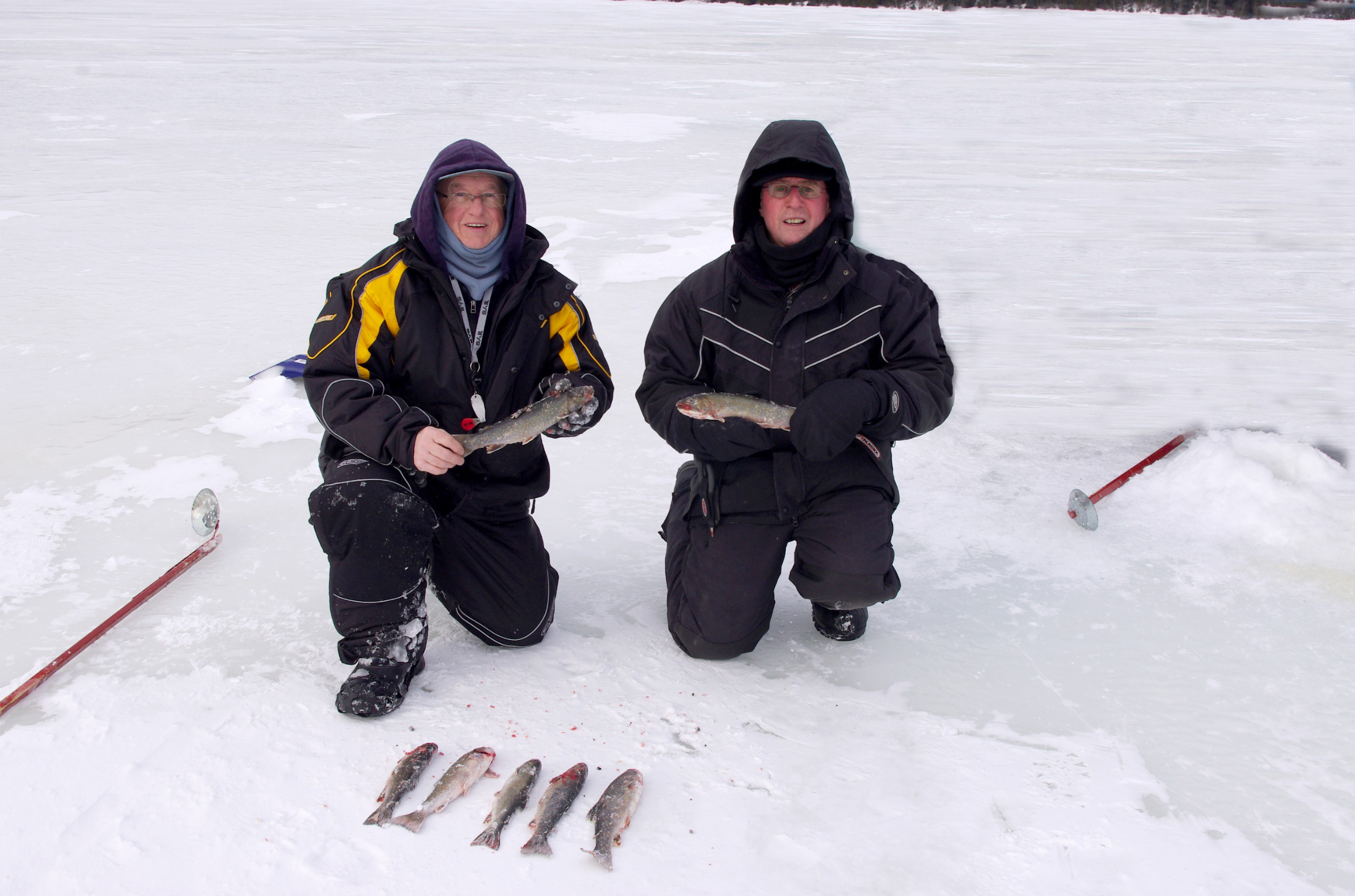 Club Tadoussac / Auberge la Tanière