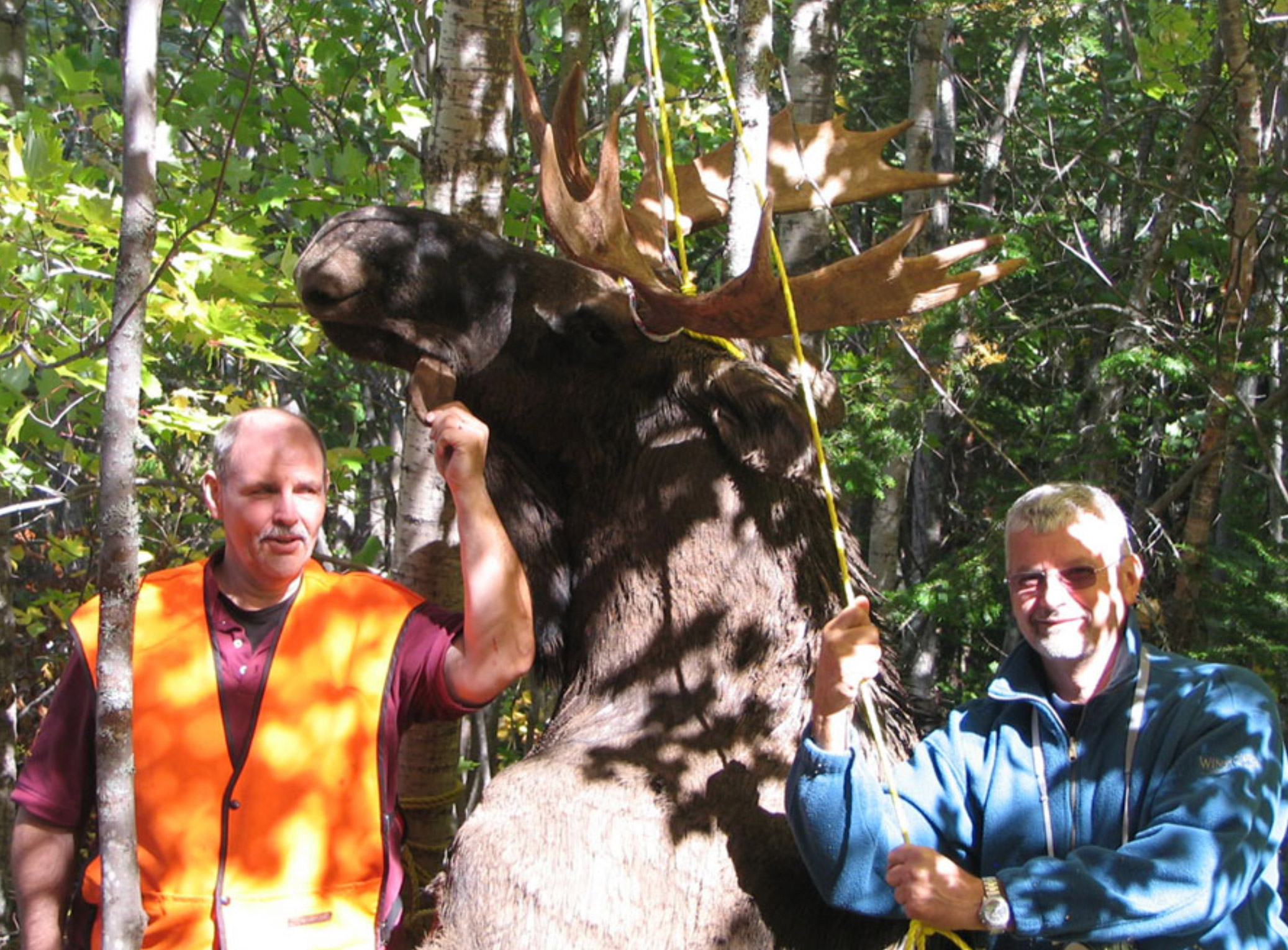 Club Tadoussac / Auberge la Tanière