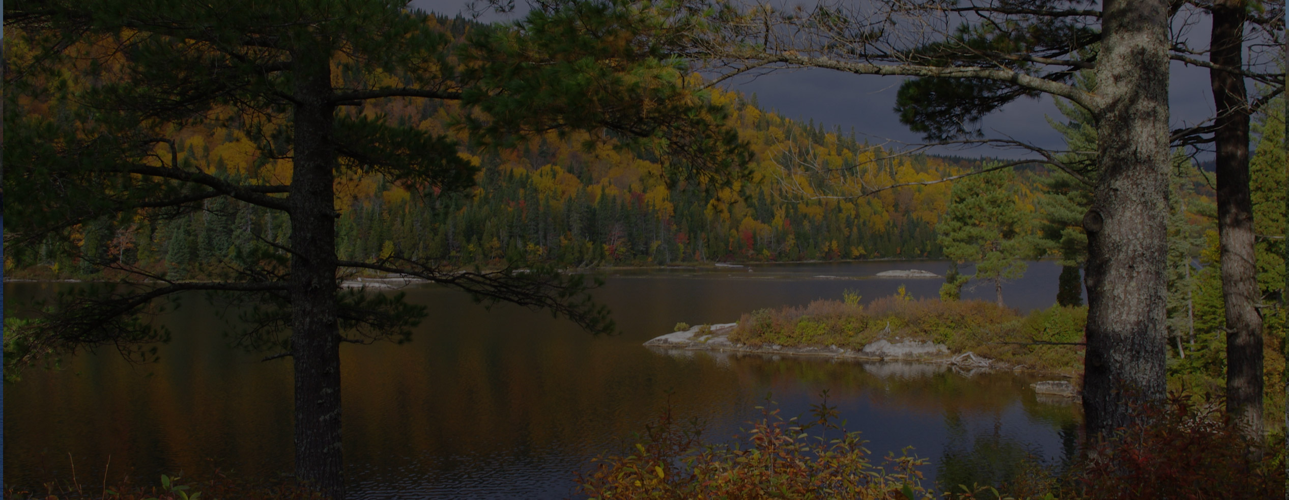 Club Tadoussac / Auberge la Tanière