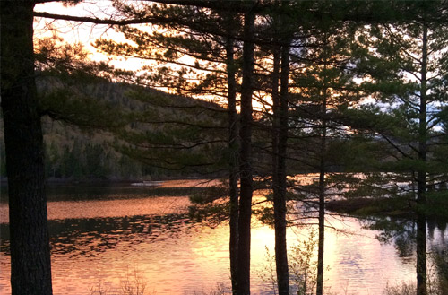 Club Tadoussac / Auberge la Tanière