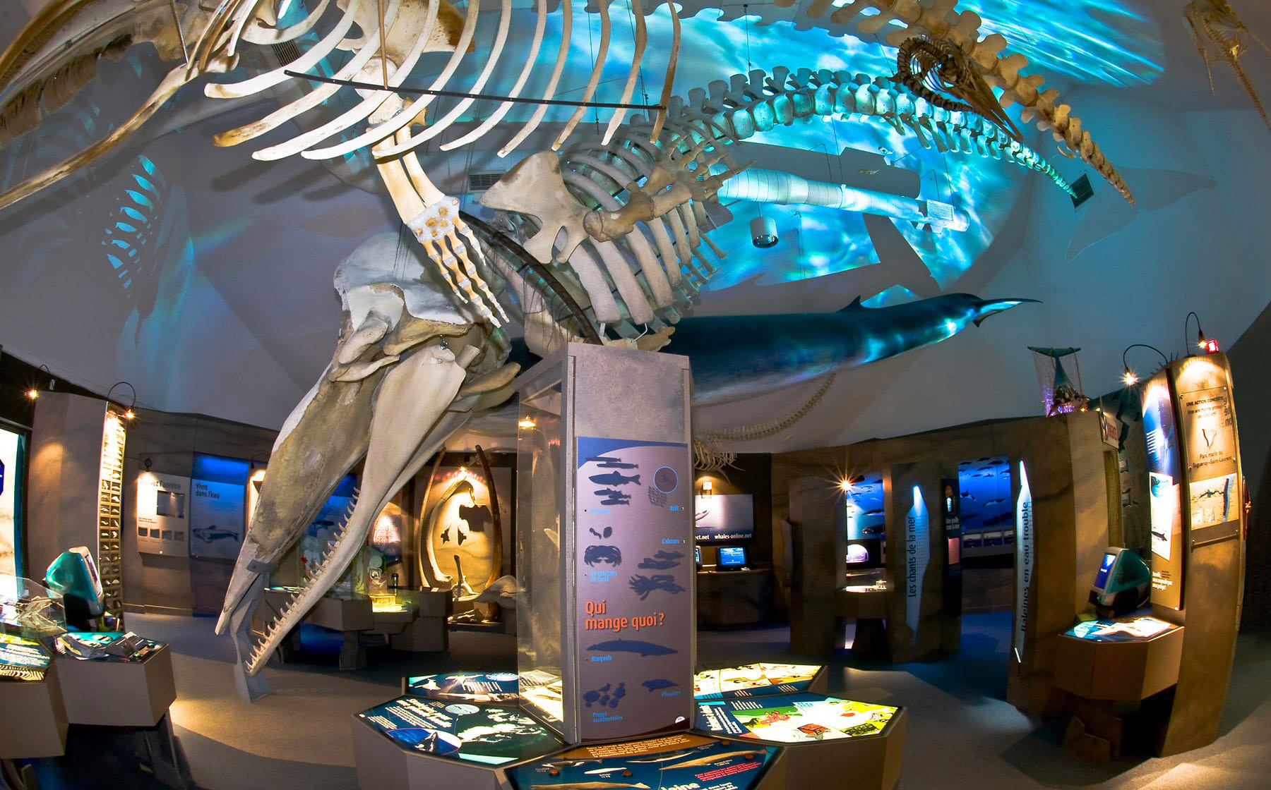 Club Tadoussac / Auberge la Tanière