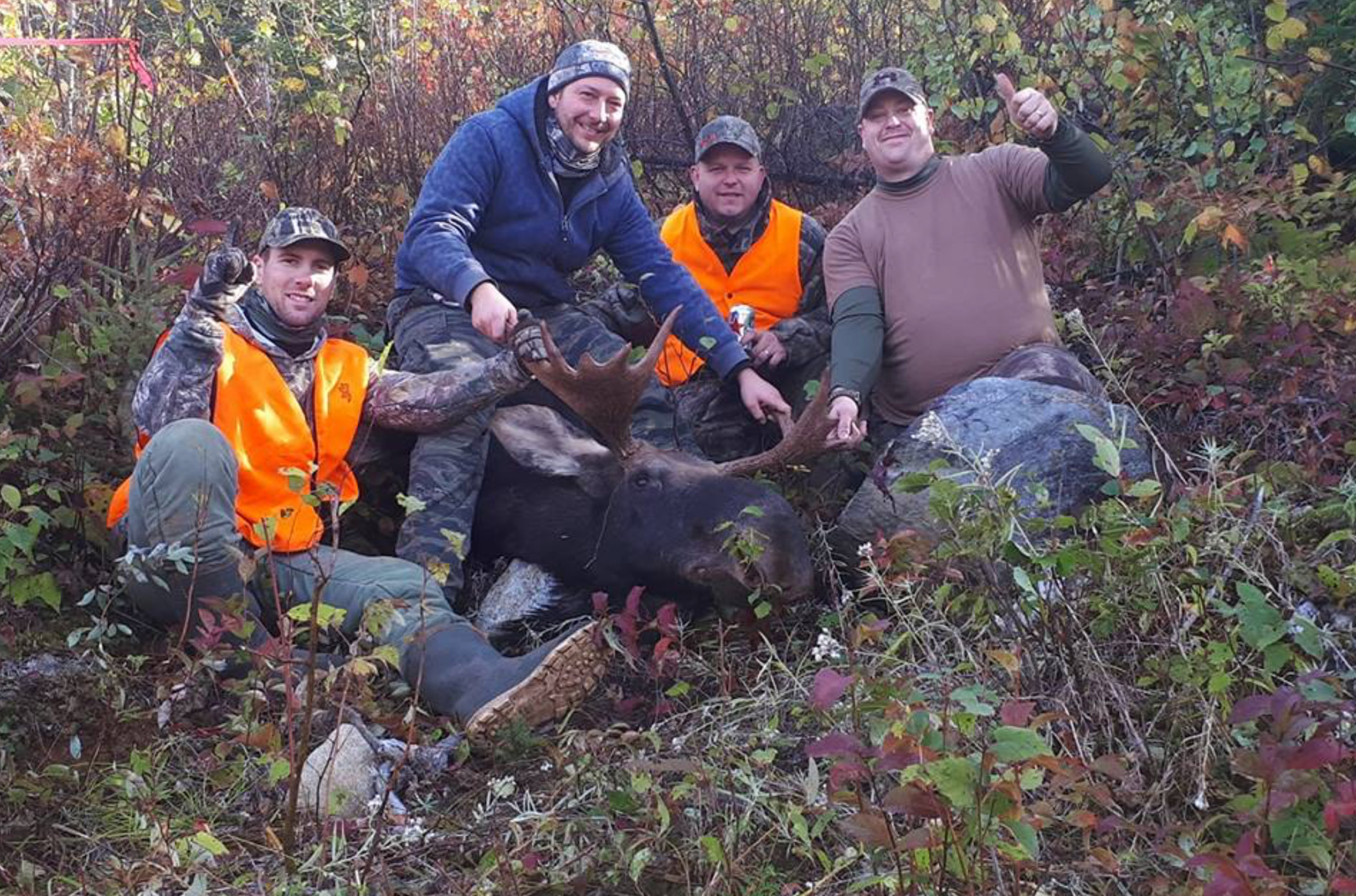 Club Tadoussac / Auberge la Tanière